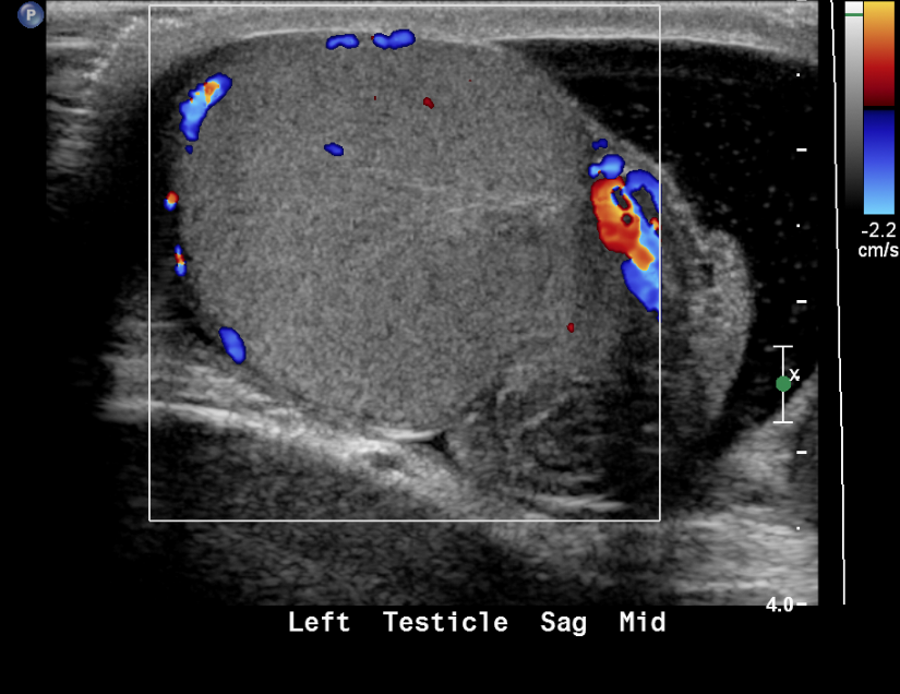 Figure 19